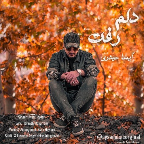 Aysa Heydari  –  Delam Raft